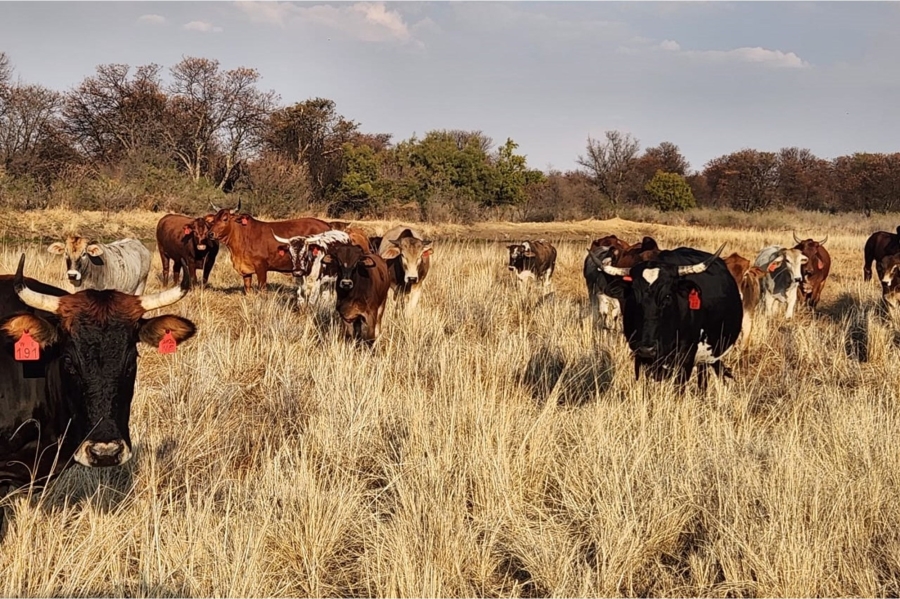 0 Bedroom Property for Sale in Klerksdorp Rural North West